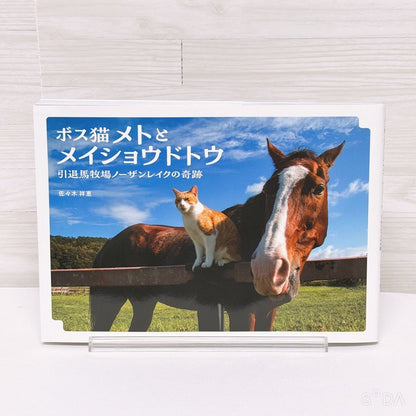 Meisho Doto Special Set - Umamusume Pretty Derby Figure, Acrylic Stand and Photobook - image 10