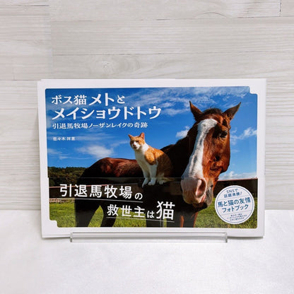 Racehorse Photo Book Set - Gold Ship, Oguri Cap, Meisho Doto, Haru Urara (4 Books)