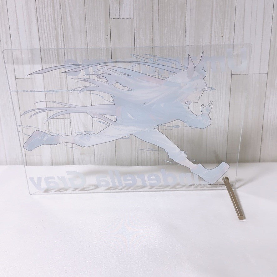 Tamamo Cross Special Fan Set - Umamusume Pretty Derby, 20 cm Figure and Acrylic Board - image 9