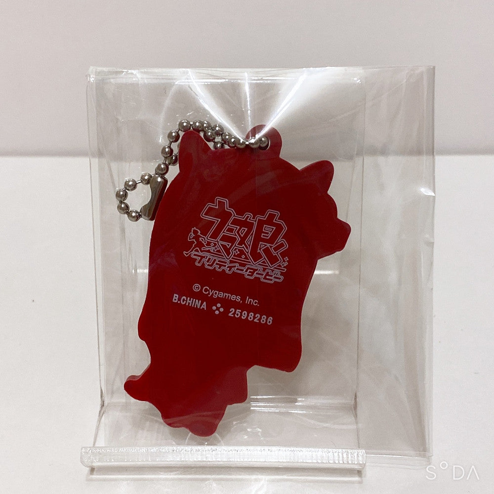 Silence Suzuka 11-Piece Mixed Set - Umamusume Pretty Derby (Pre-owned) - image 16