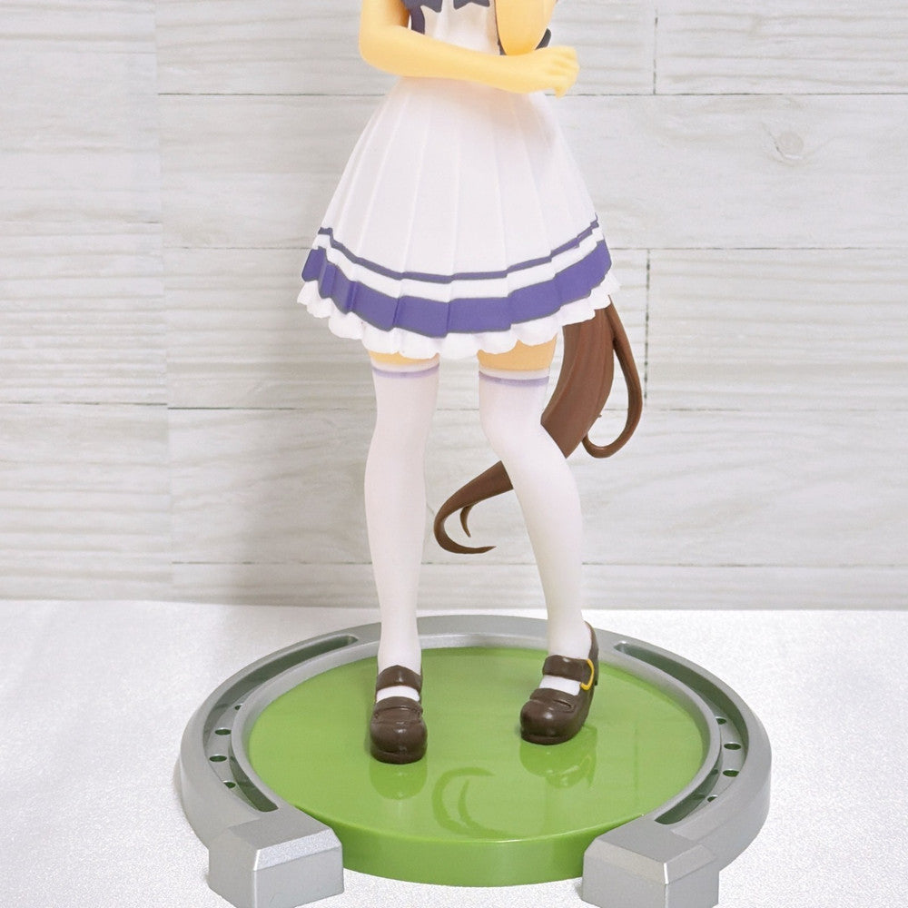 Agnes Tachyon Special Fan Set 5pc - Umamusume Pretty Derby Figure, Tapestry, Plush, Acrylic Stand & Card - image 14