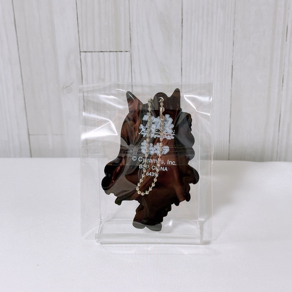 Mejiro Ardan Special Fan Set - Umamusume Pretty Derby Figure, Plush and Collectibles (Used) - image 11