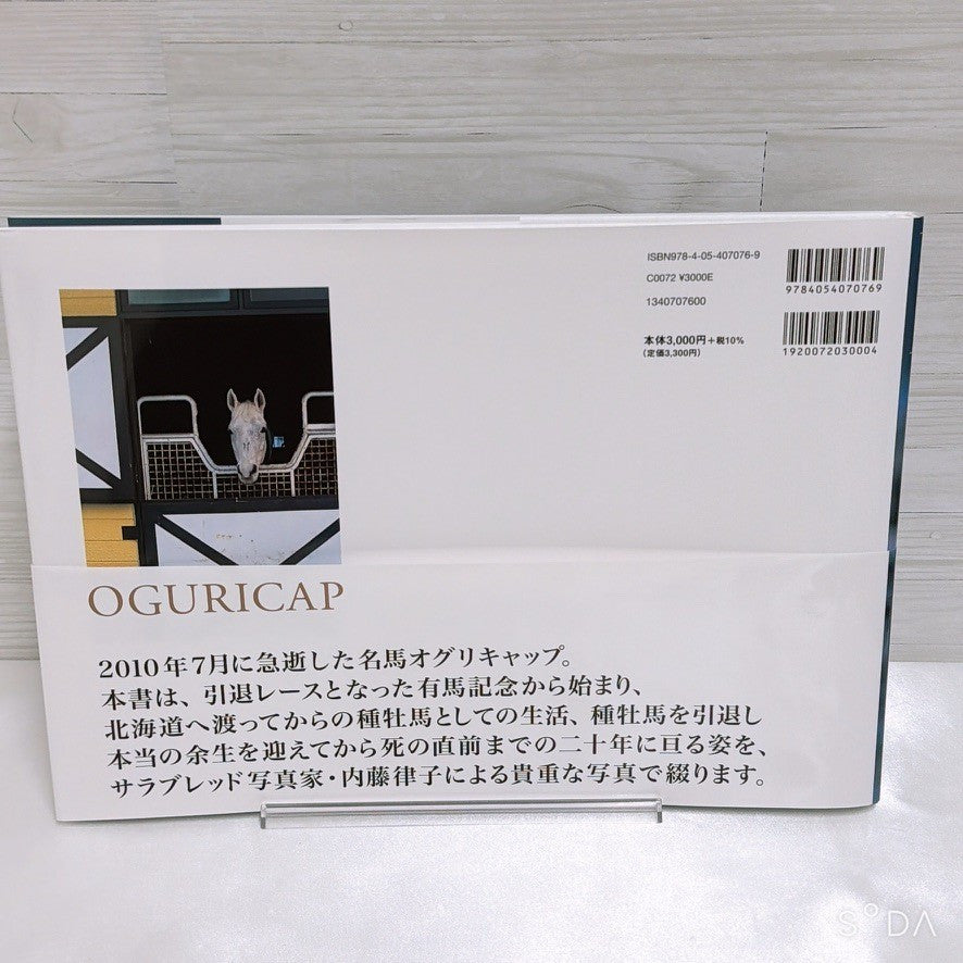 Oguri Cap Memorial Book & Merchandise Set - Umamusume Pretty Derby (Used) - image 6