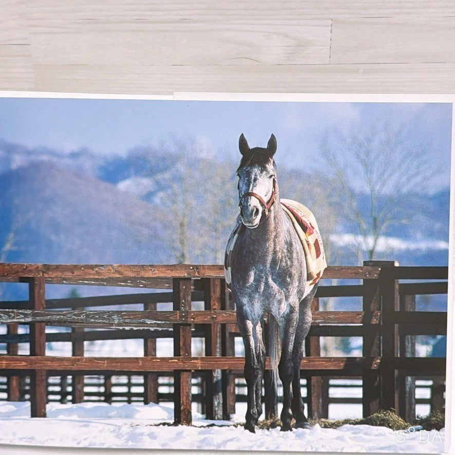 Oguri Cap Memorial Photo Book Shiro no Jikan - New Japanese Edition - image 3